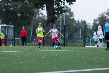 Bild 264 - C-Juniorinnen HSV - Walddoerfer : Ergebnis: 9:1